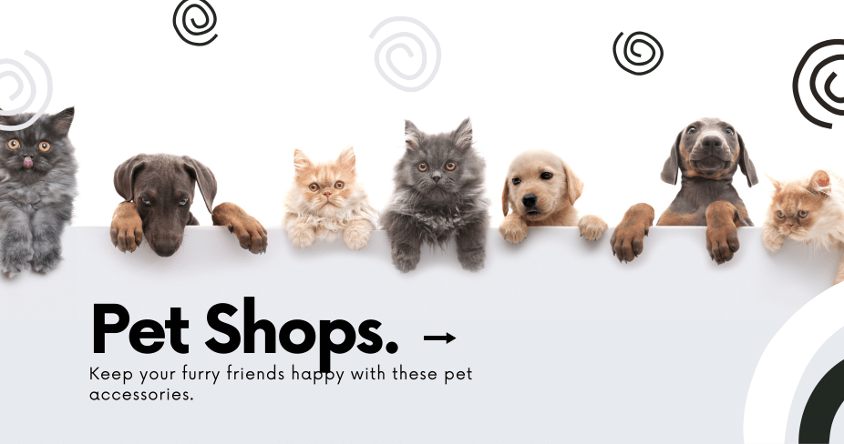 Pet Accessories